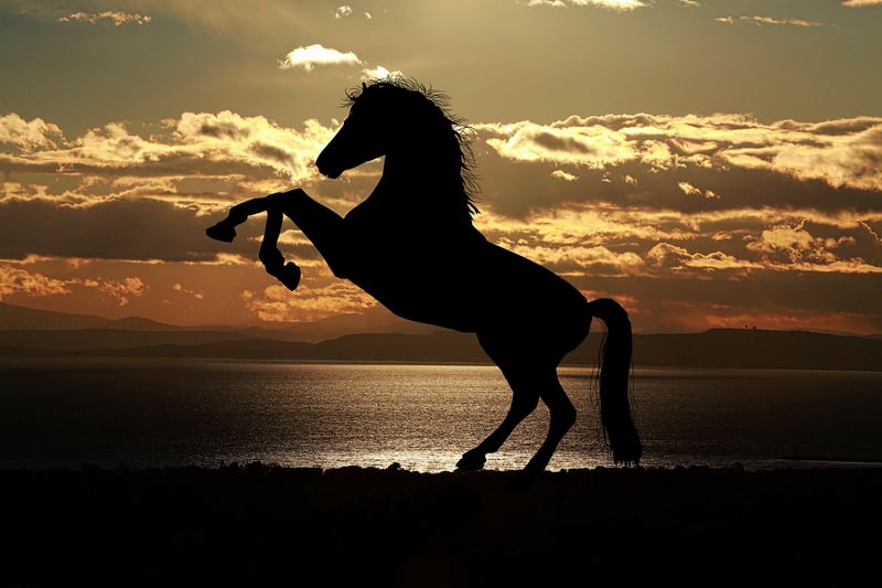 silhouette of a person pushing boundaries